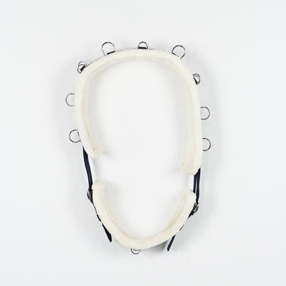 Longeringsgjord Teddy | Full