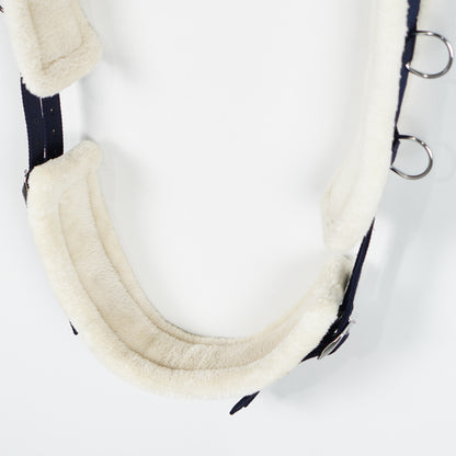 Longeringsgjord Teddy | Full