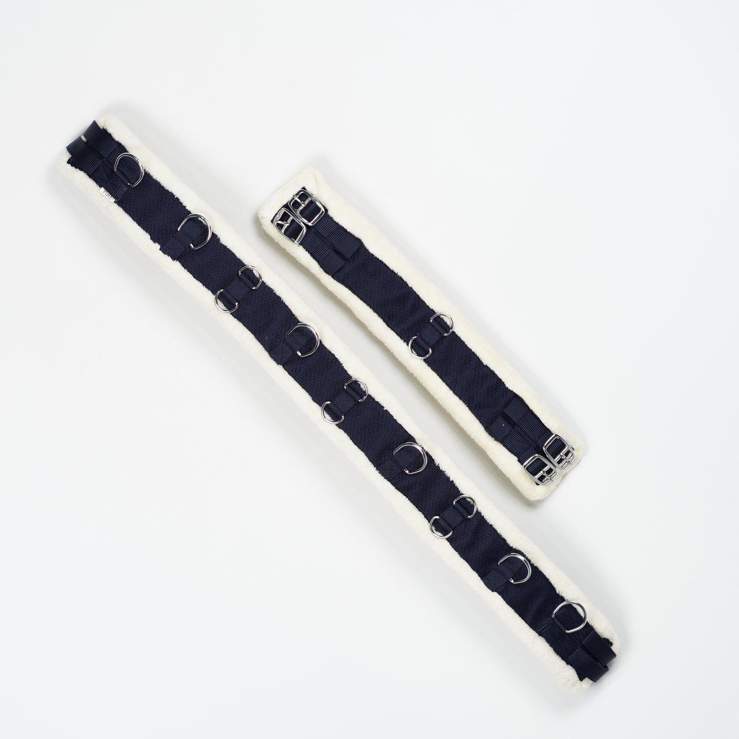 Longeringsgjord Teddy | Full