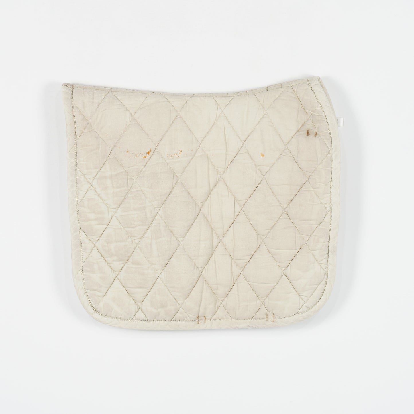 Dressyrschabrak | Full