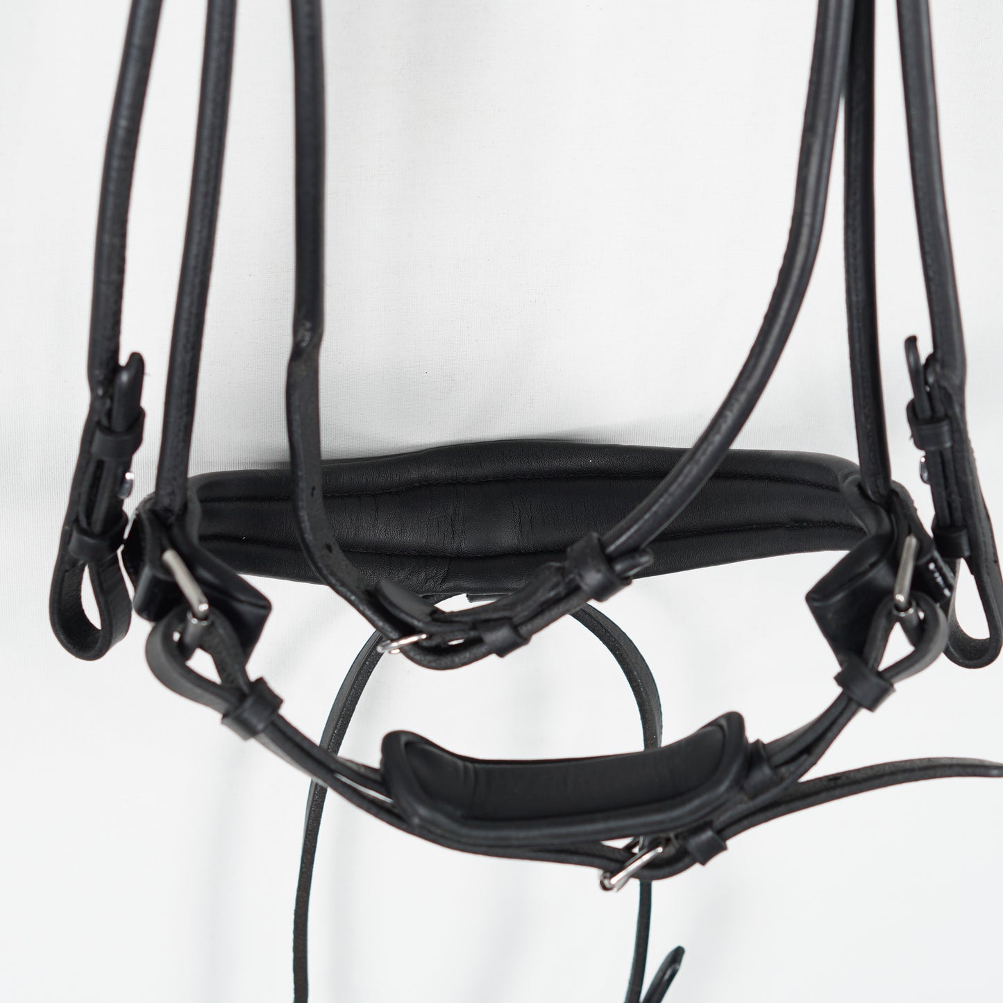 Dressyrträns Rundsytt | Cob