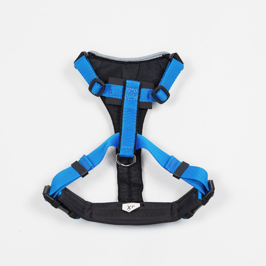 Hundsele | XS