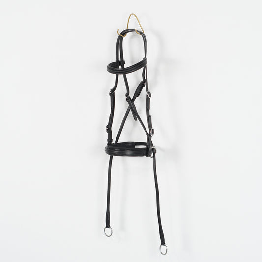 Bettlöst Träns | Cob