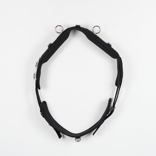 Longeringsgjord | Full