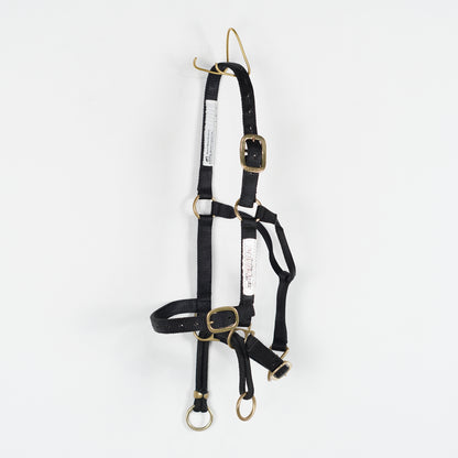 Träningsgrimma Dually | Full