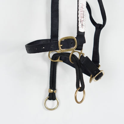 Träningsgrimma Dually | Full