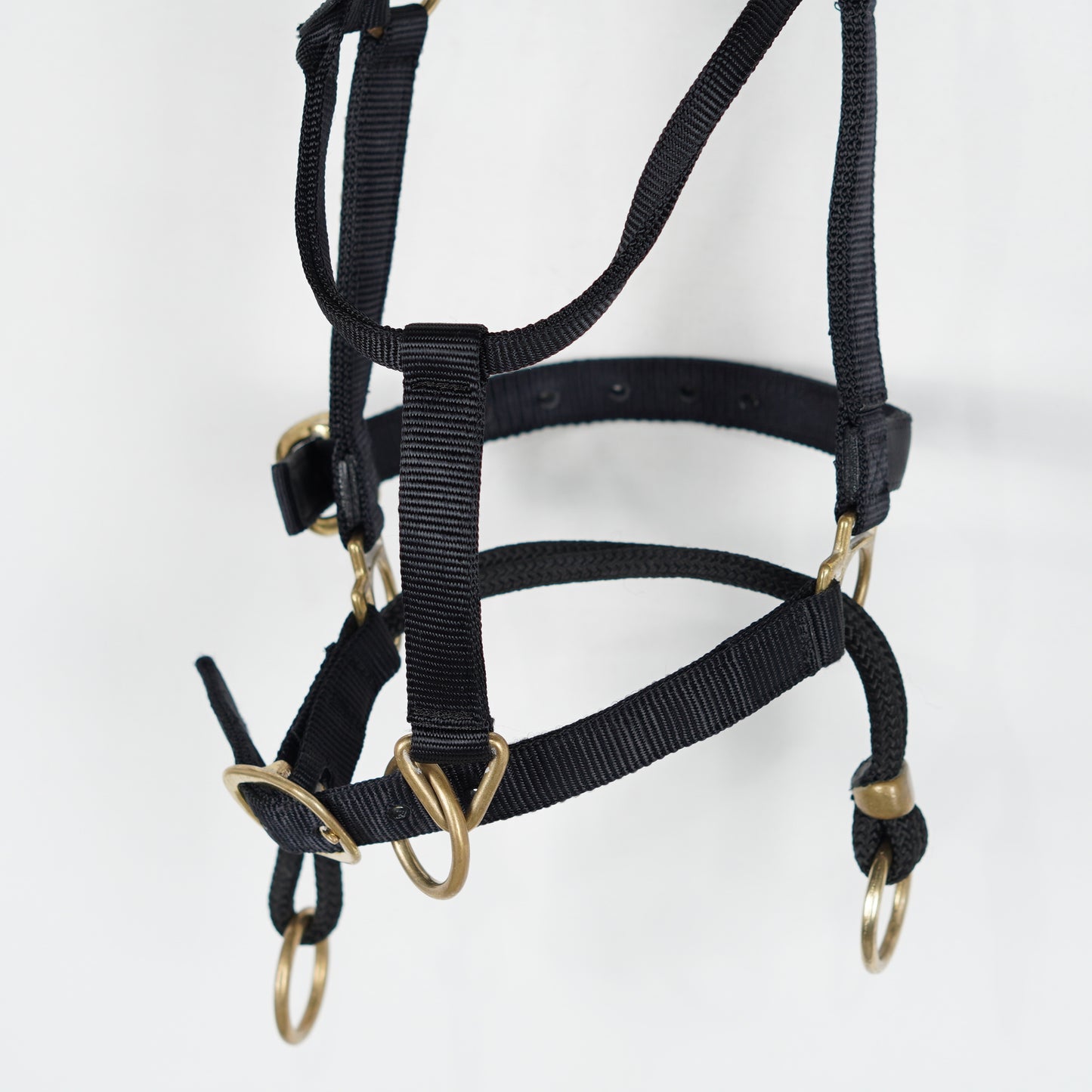 Träningsgrimma Dually | Full