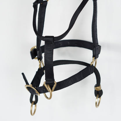 Träningsgrimma Dually | Full