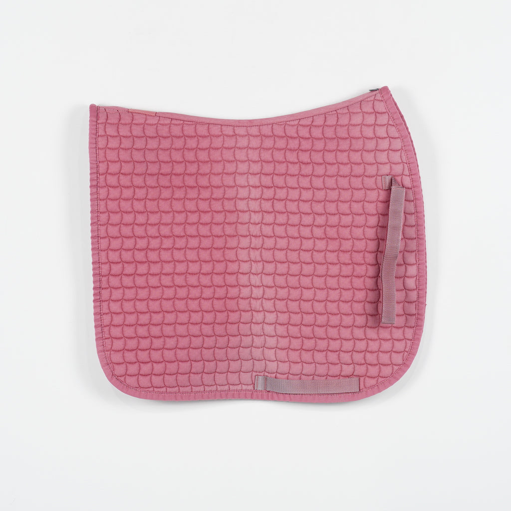 Dressyrschabrak | Full