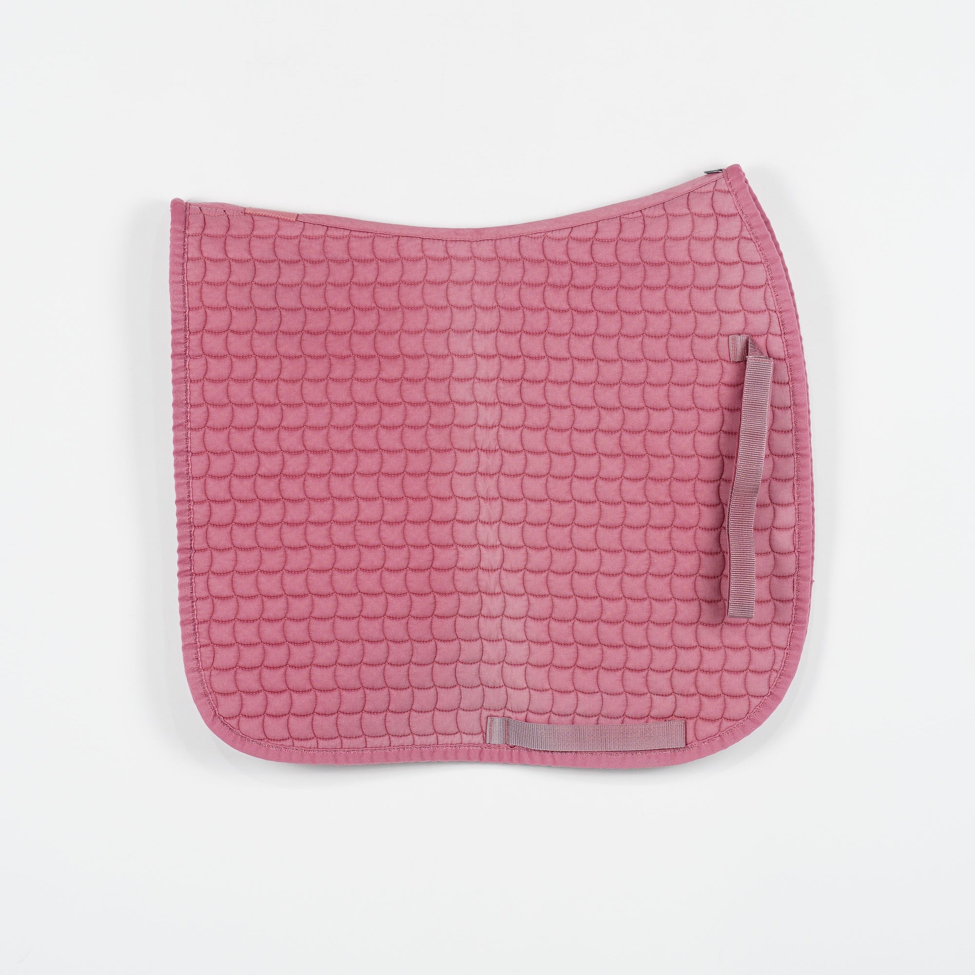 Dressyrschabrak | Full