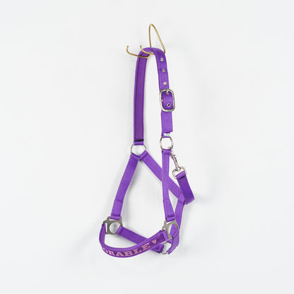 Grimma Adorable | Cob