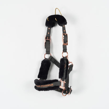 Grimma + Grimskaft Dark Sky | Ponny