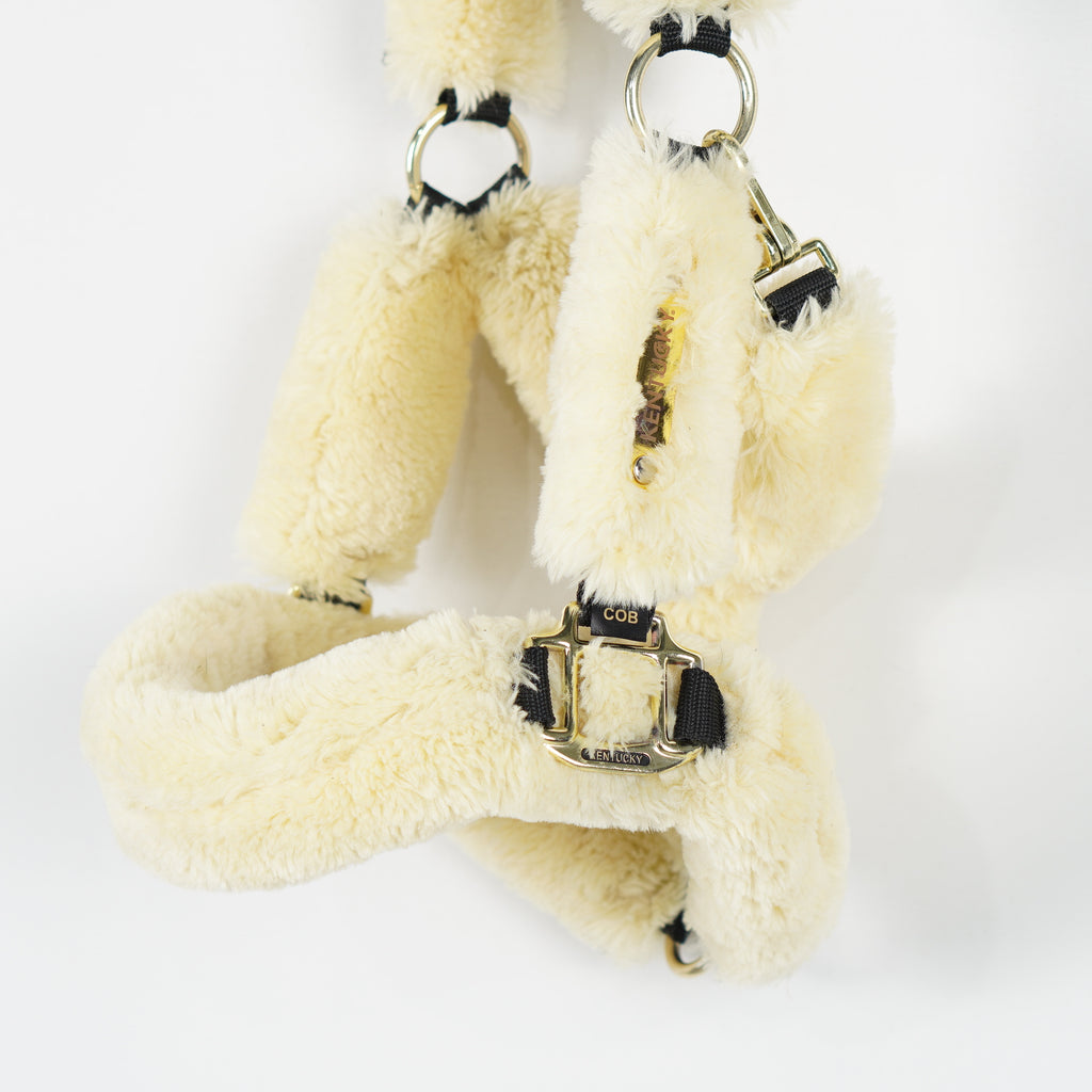 Teddygrimma | Cob
