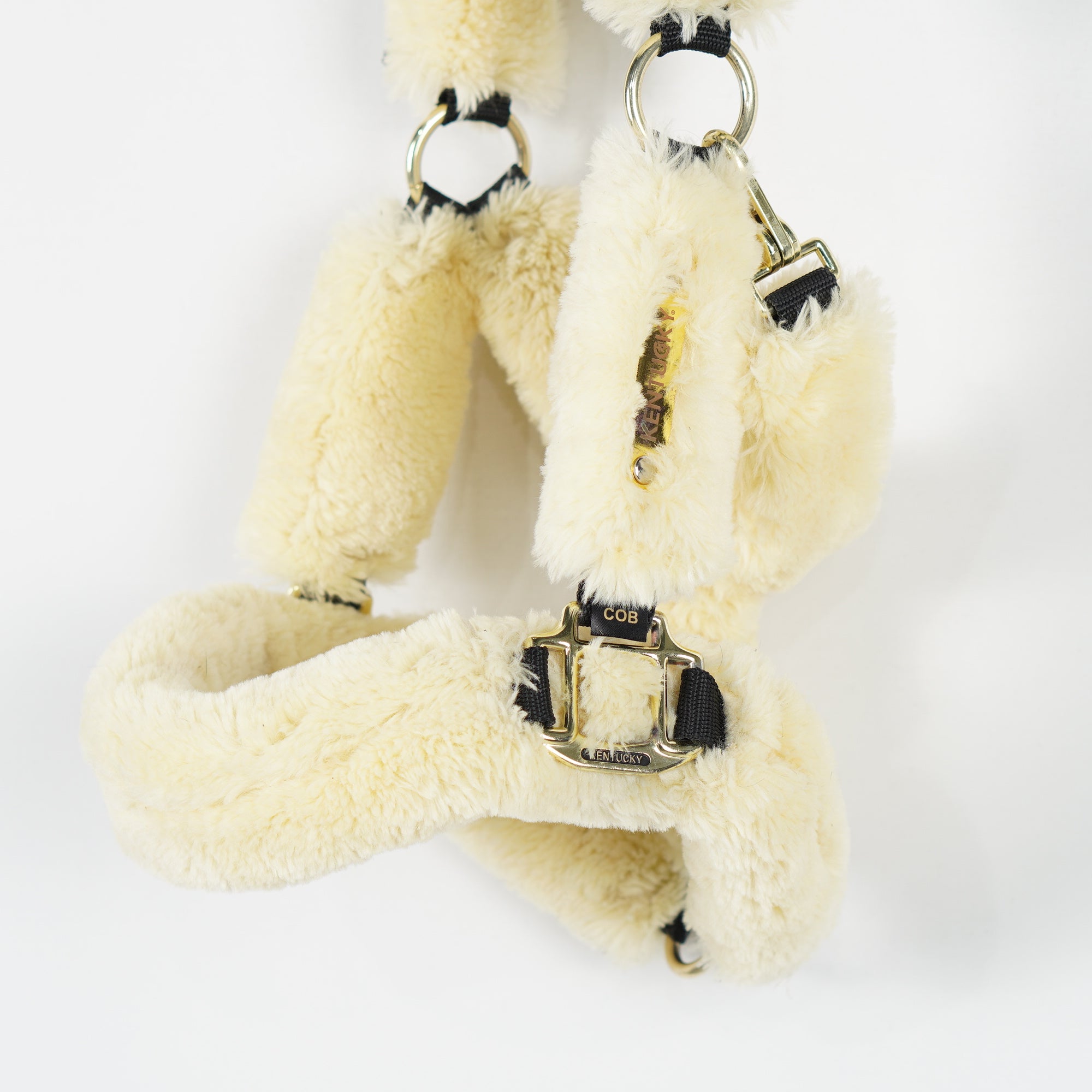 Teddygrimma | Cob