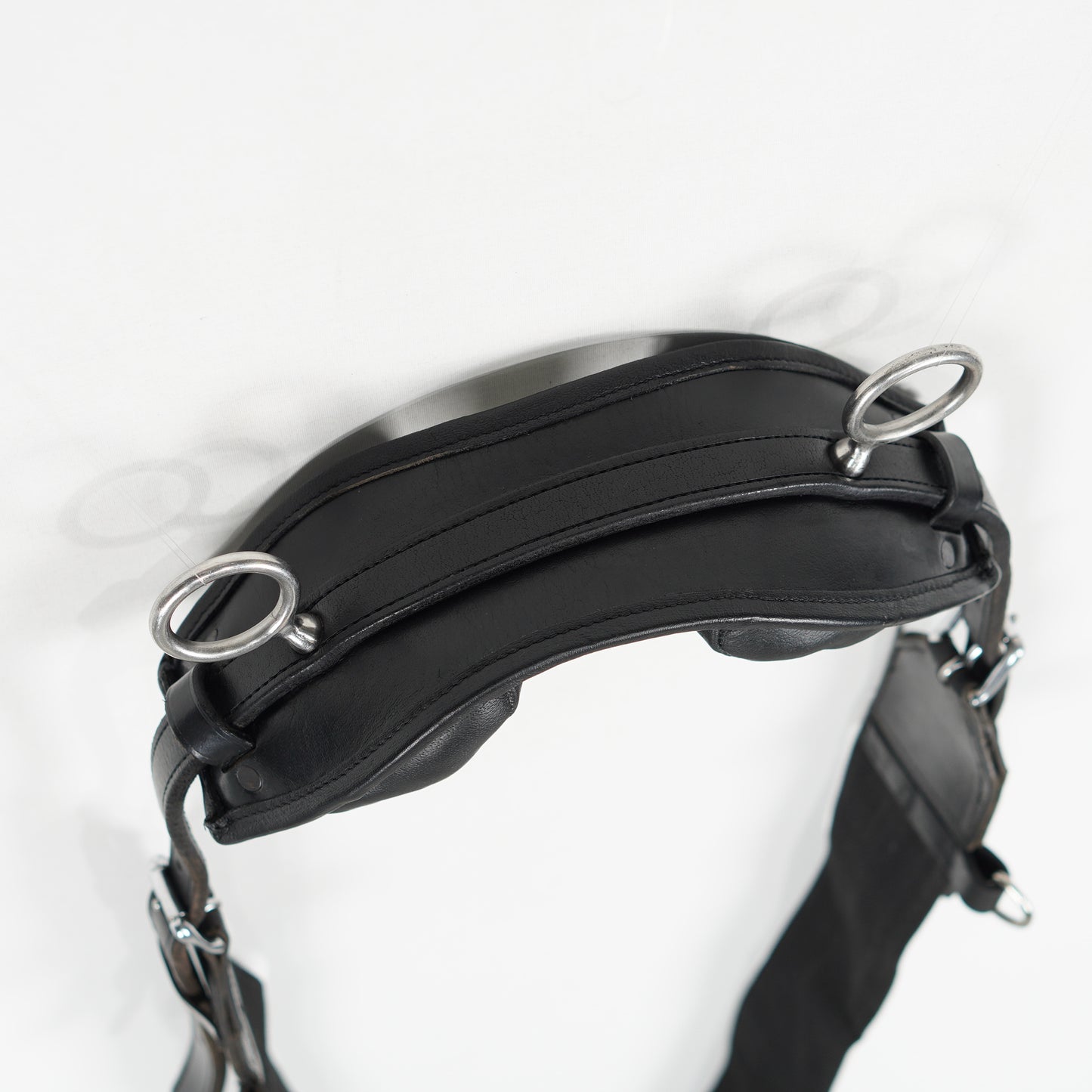 Longeringsgjord | One Size