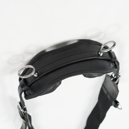 Longeringsgjord | One Size