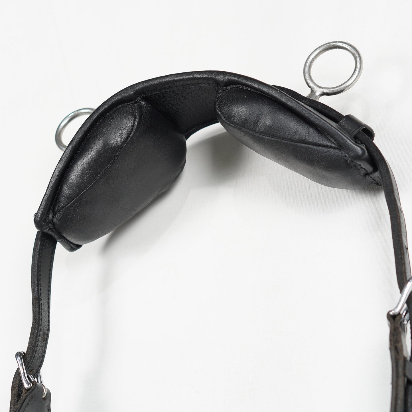 Longeringsgjord | One Size