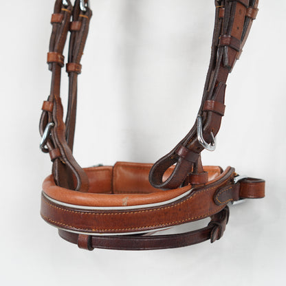 Aachenträns Reflex | Shet