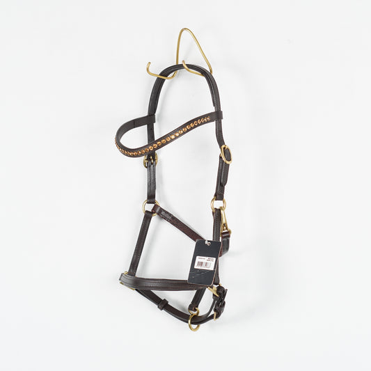 Lädergrimma Show | Föl (Åring)