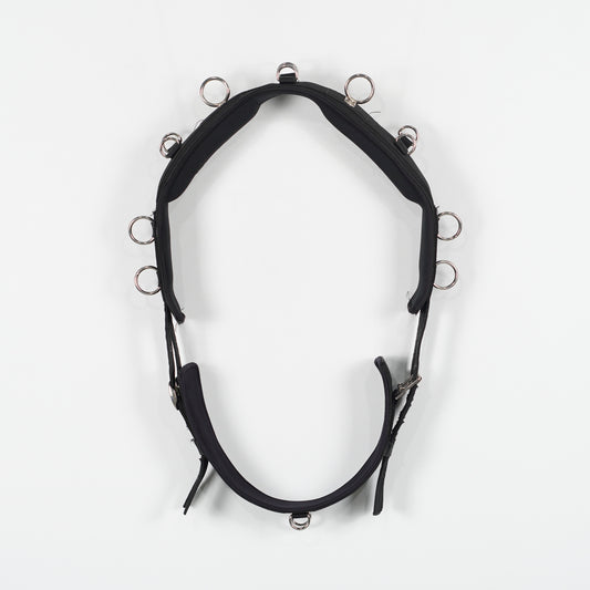 Longeringsgjord | Full