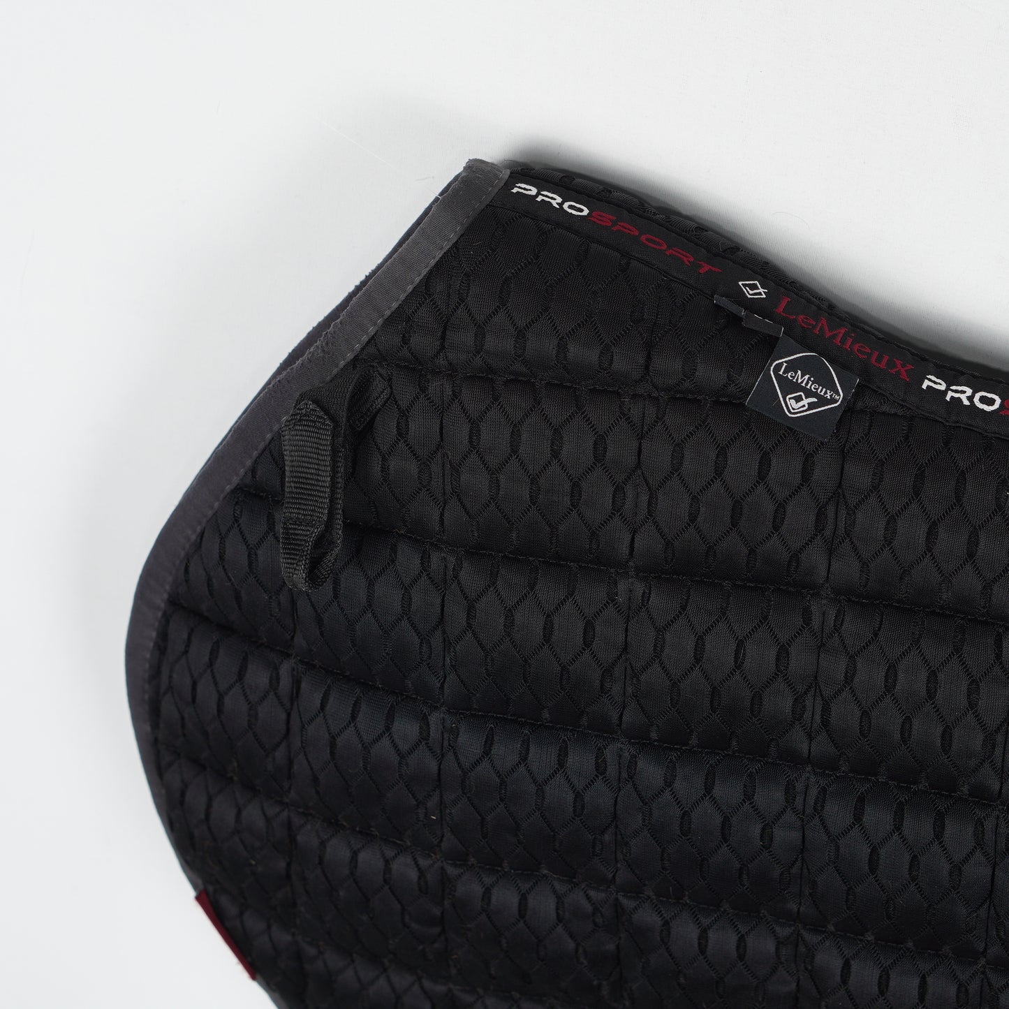 Hoppschabrak 3D Mesh | L