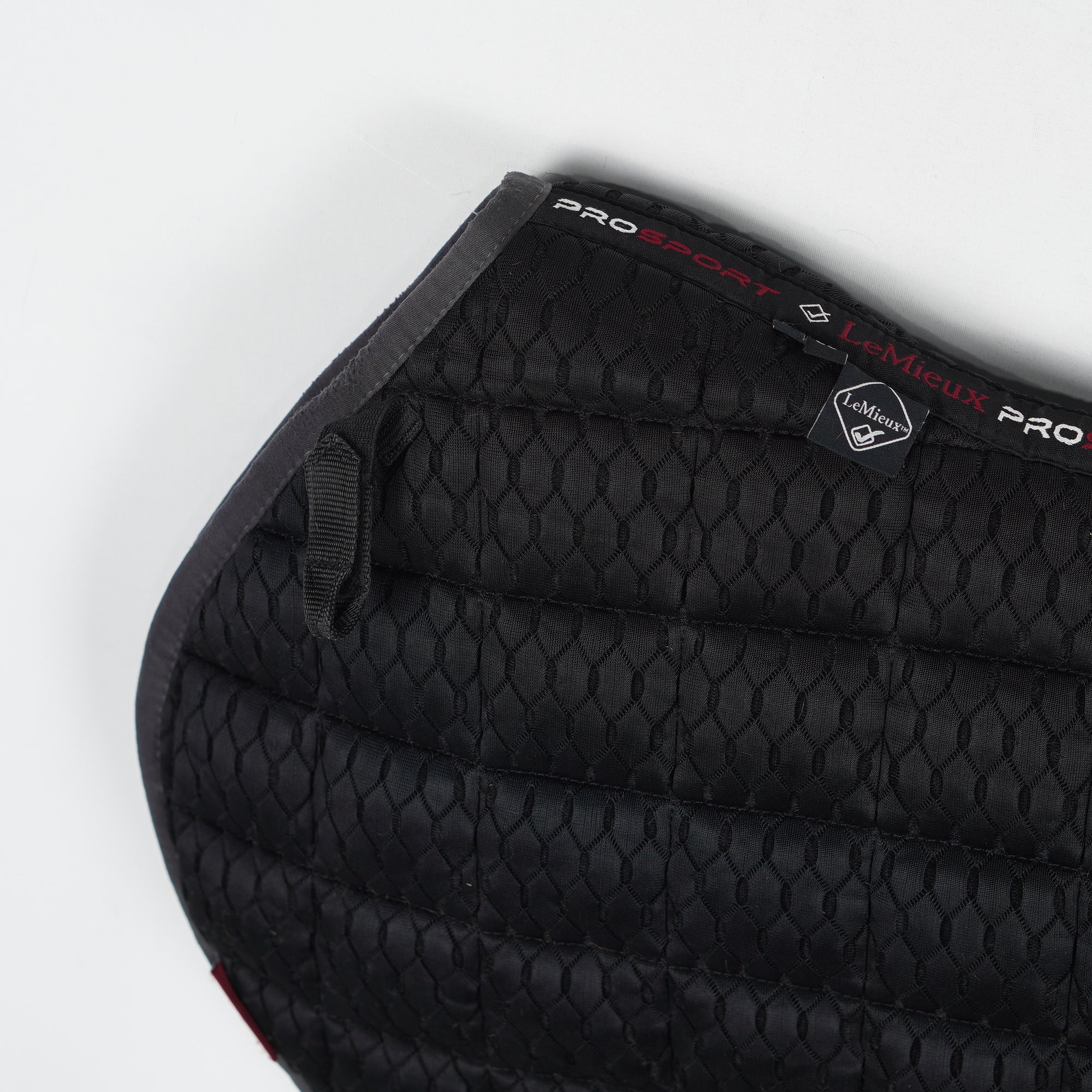 Hoppschabrak 3D Mesh | L