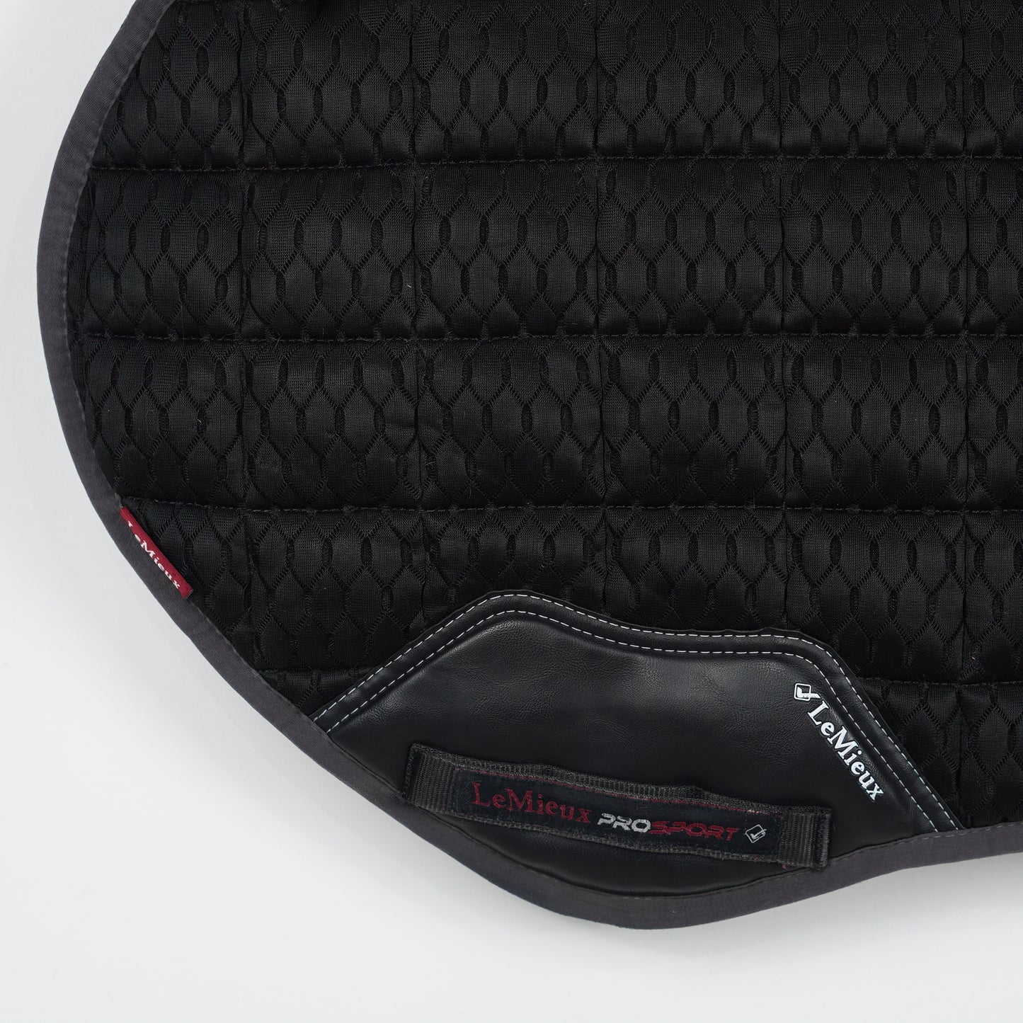 Hoppschabrak 3D Mesh | L