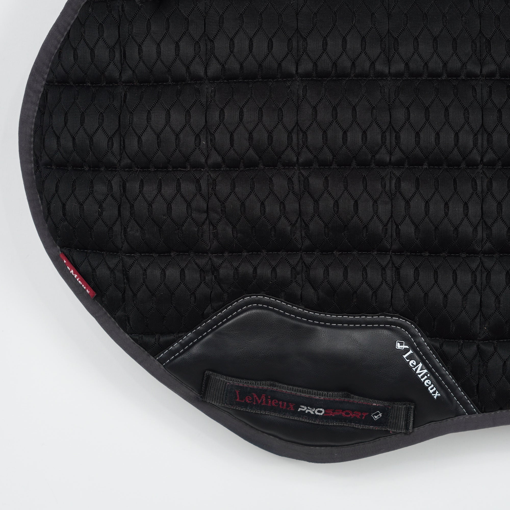 Hoppschabrak 3D Mesh | L