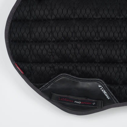 Hoppschabrak 3D Mesh | L