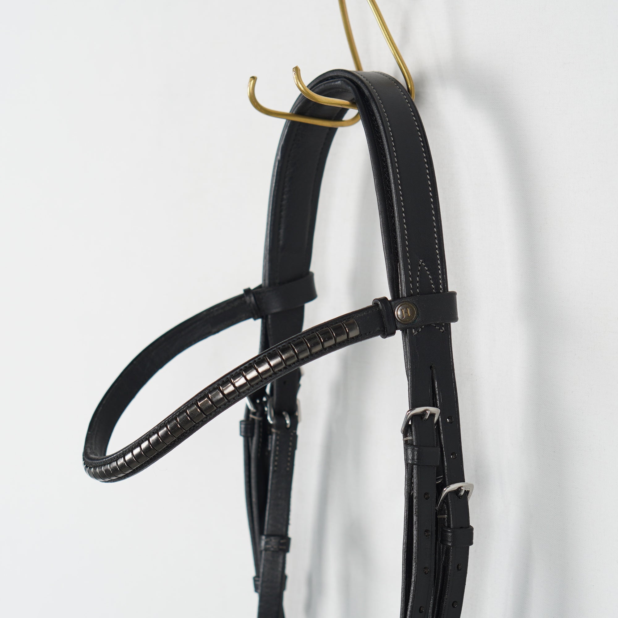 Aachenträns Anatomiskt | X-Full