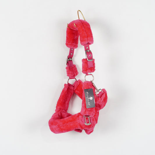 Grimma Teddy | Ponny