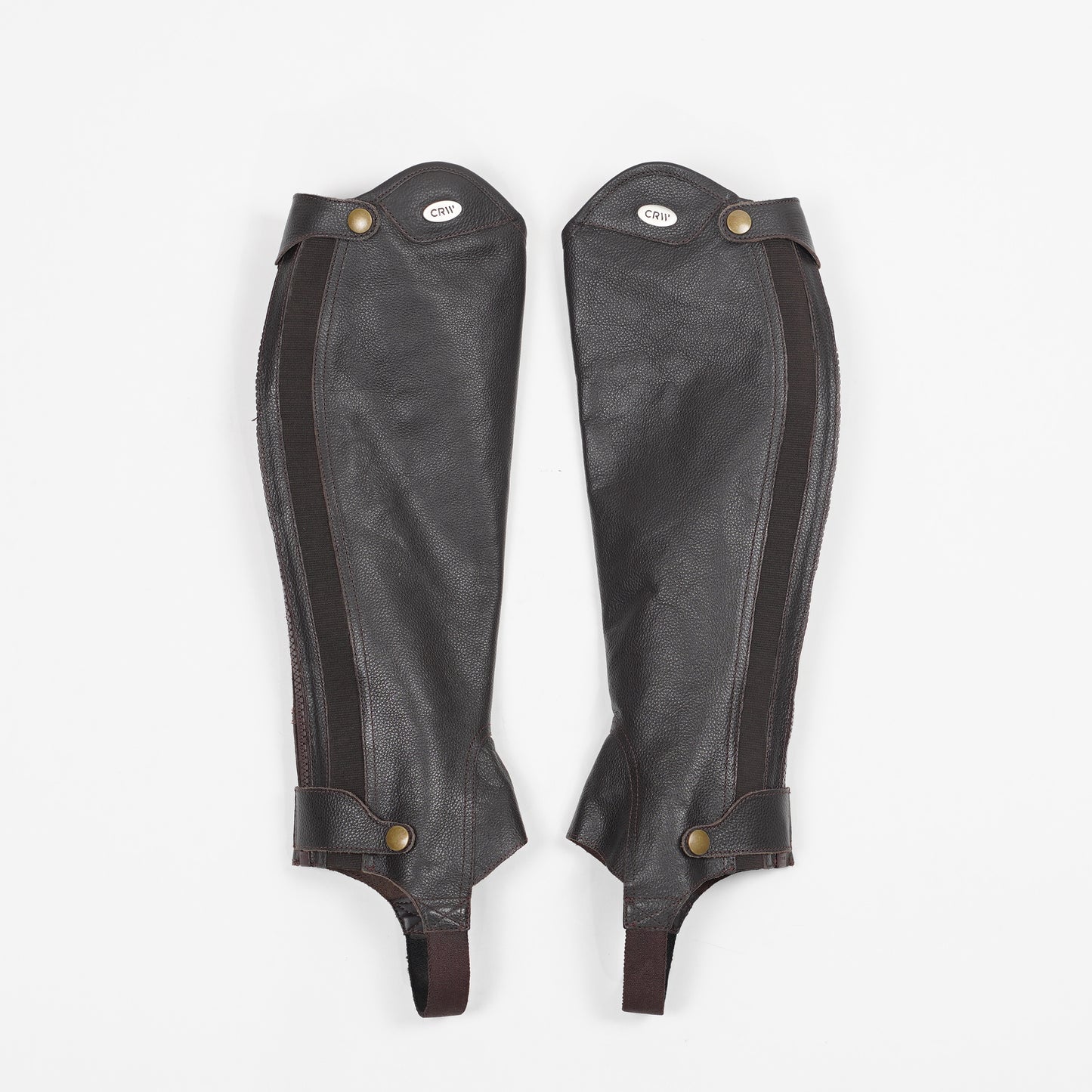Shortchaps Nevada | M