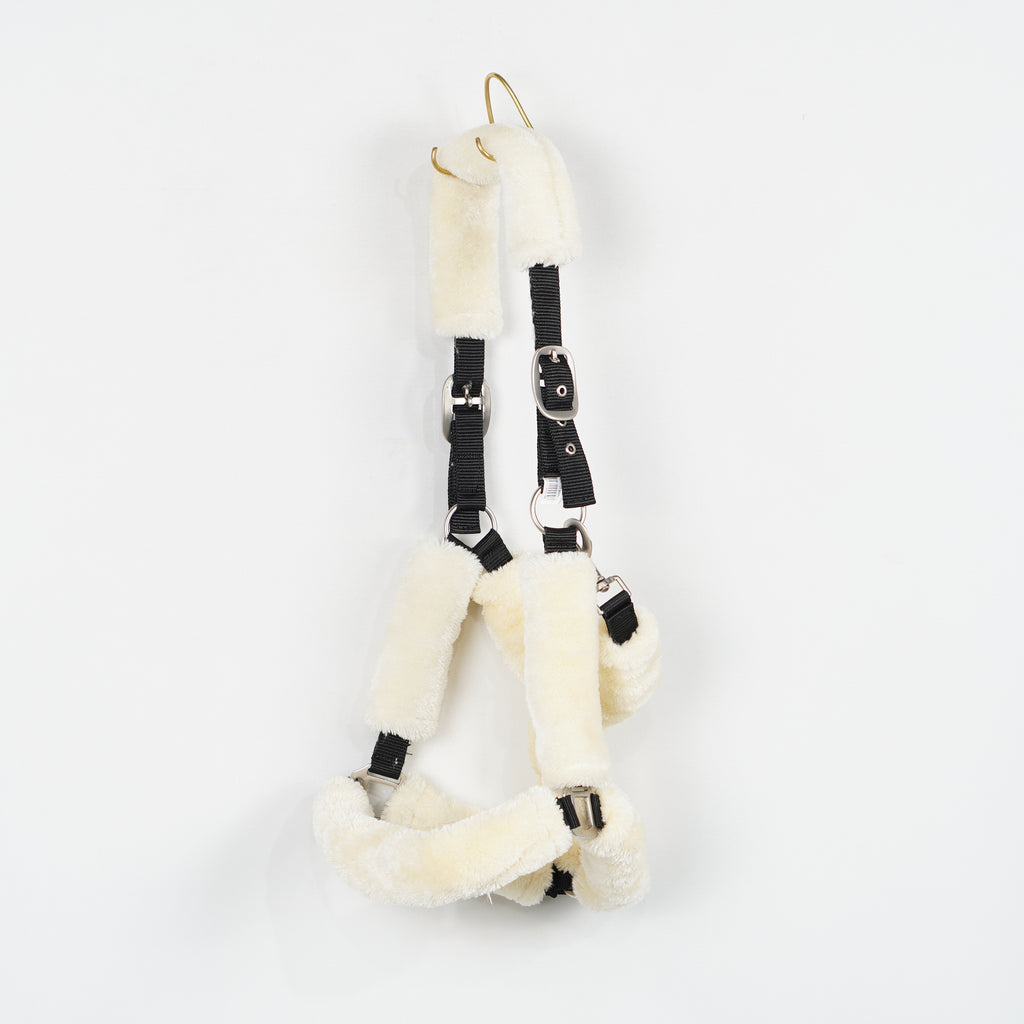 Grimma Teddy | X-Full