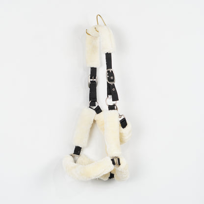 Grimma Teddy | X-Full