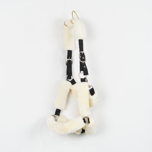 Grimma Teddy | X-Full