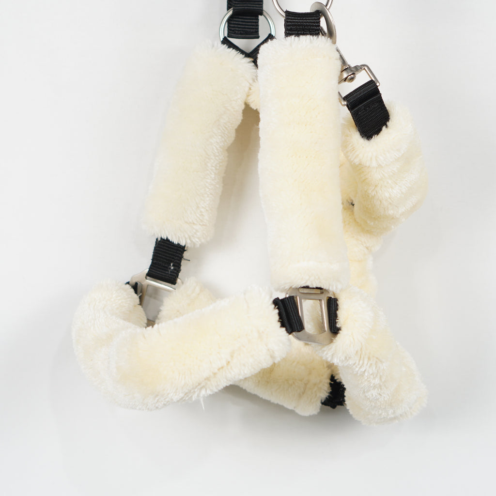 Grimma Teddy | X-Full