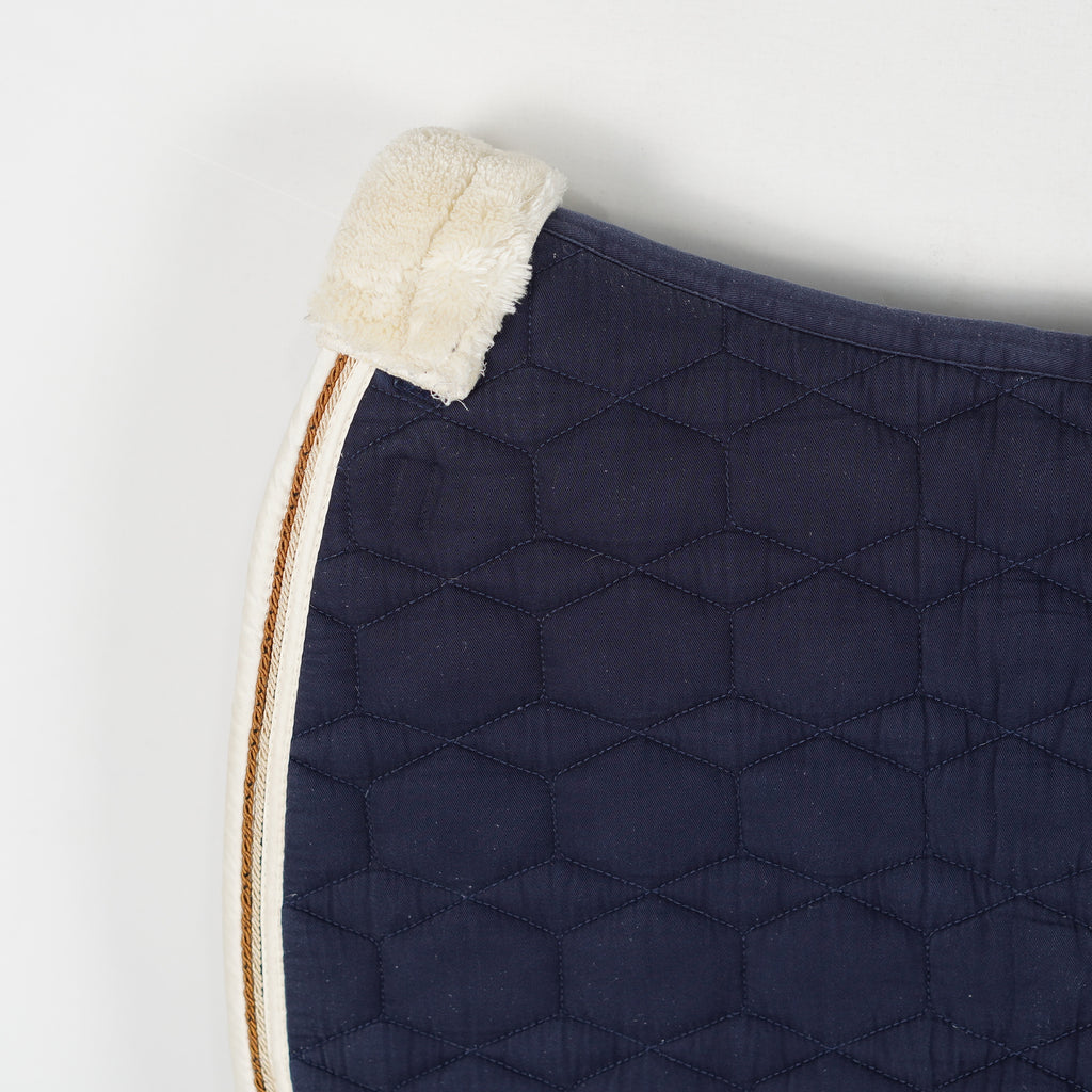 Dressyrschabrak Teddy | Full