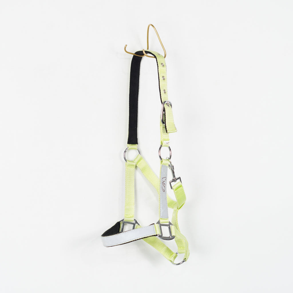 Grimma Reflex | Ponny