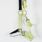 Grimma Reflex | Ponny