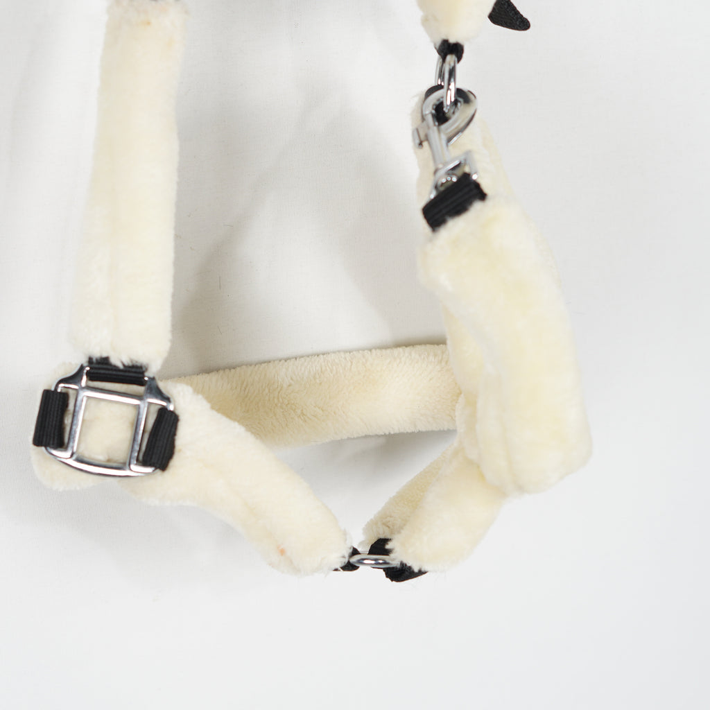Grimma Teddy | Cob