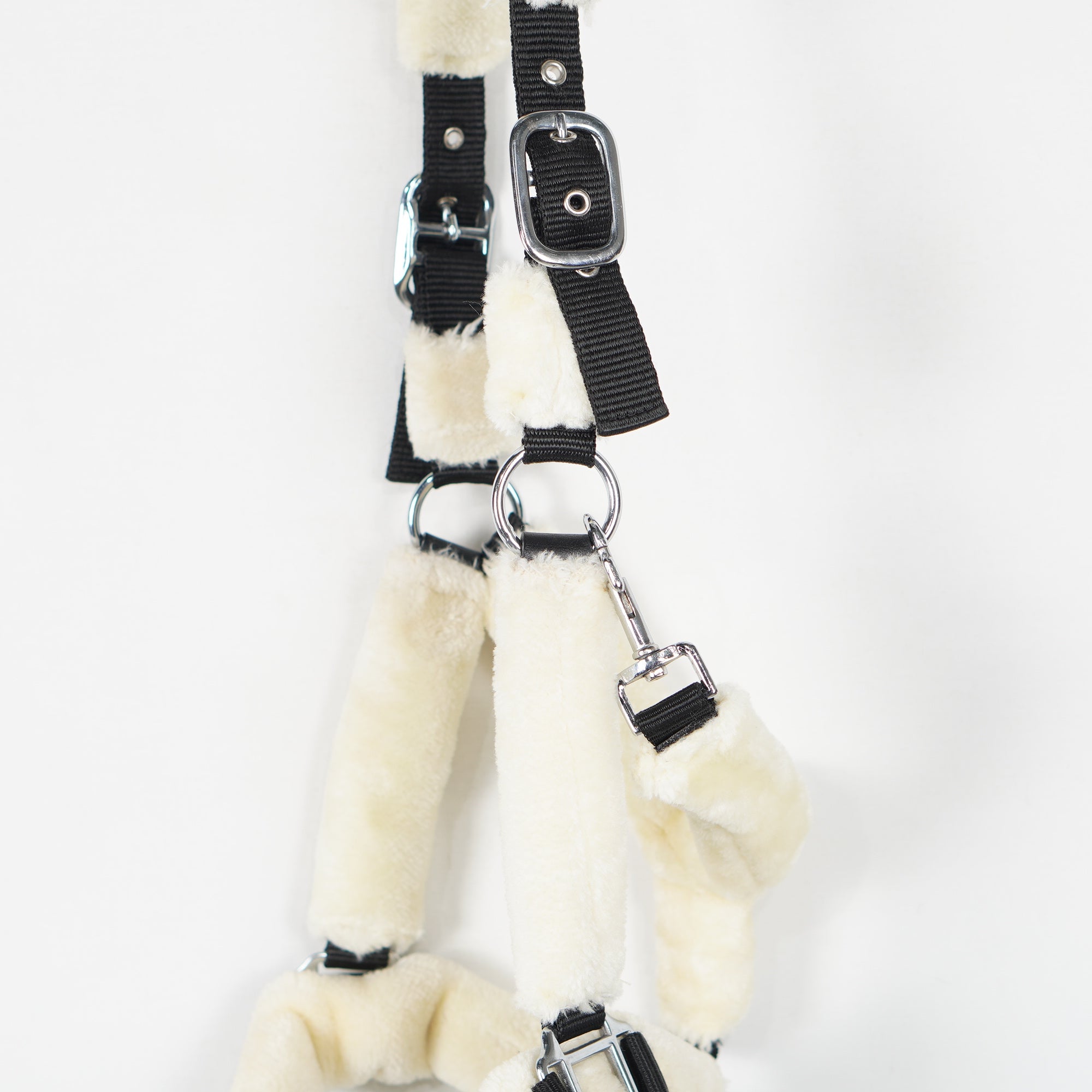 Grimma Teddy | Cob