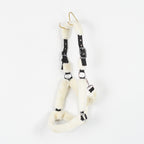 Grimma Teddy | Cob