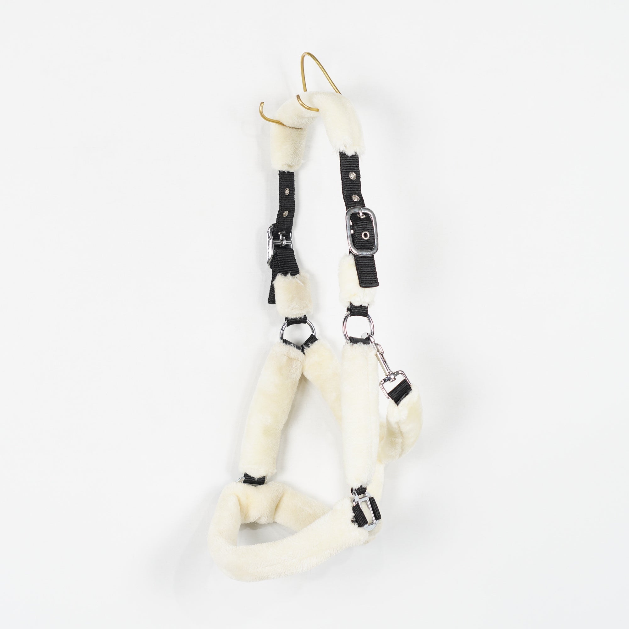 Grimma Teddy | Cob