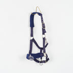 Grimma Crown | Ponny