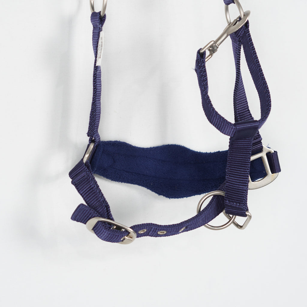 Grimma Crown | Ponny