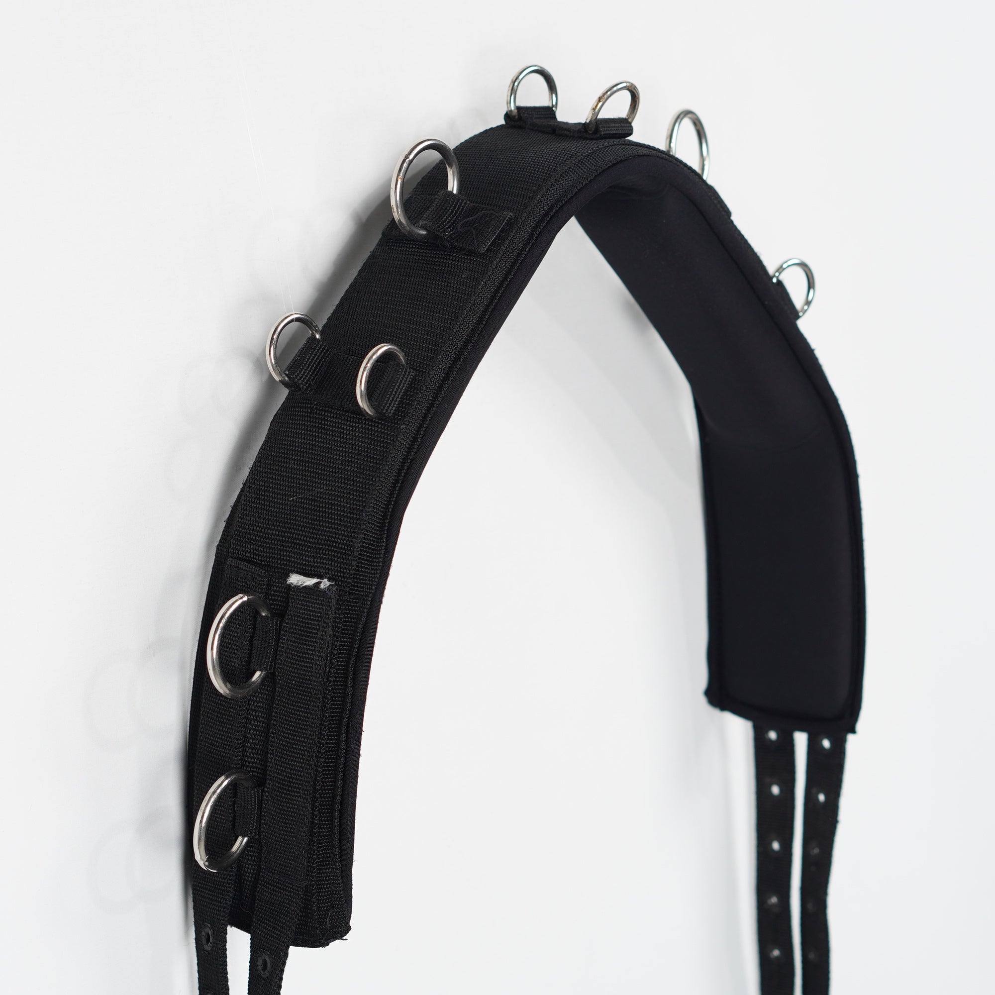Longeringsgjord | One size