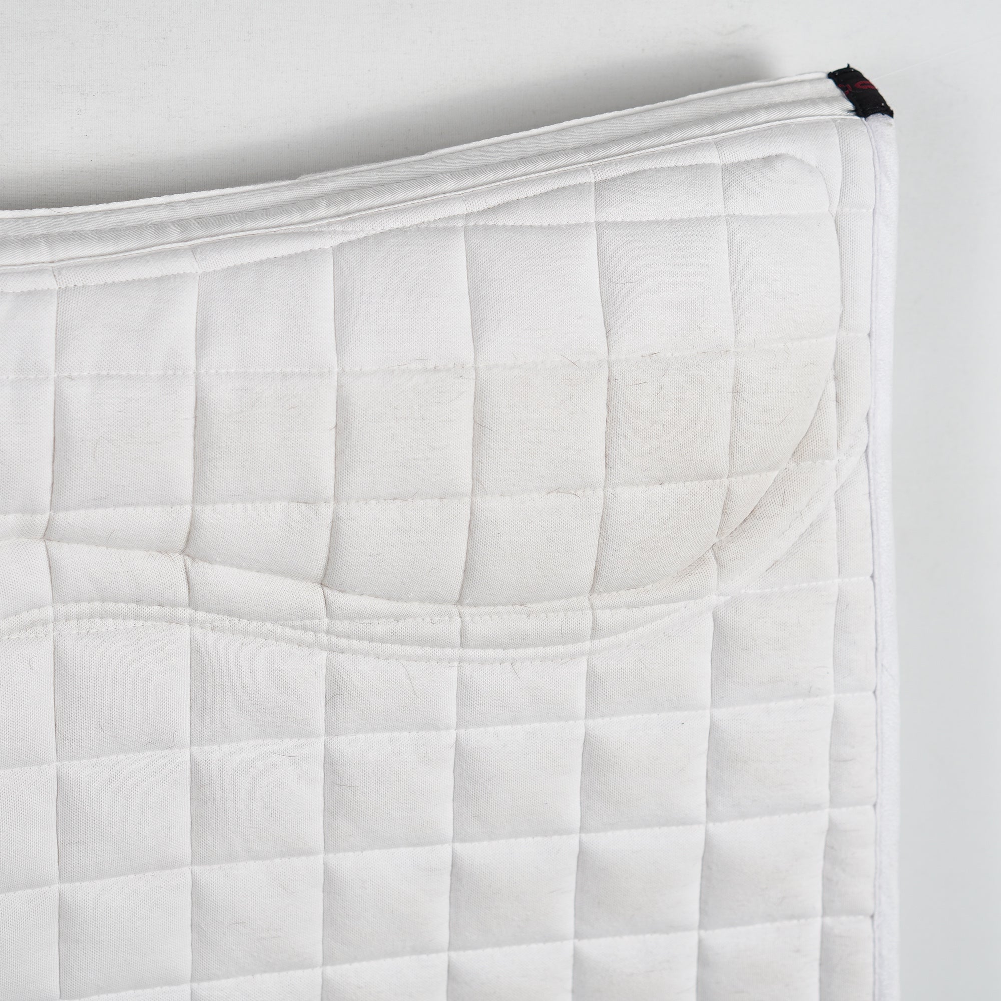 Dressyrschabrak X-grip | L