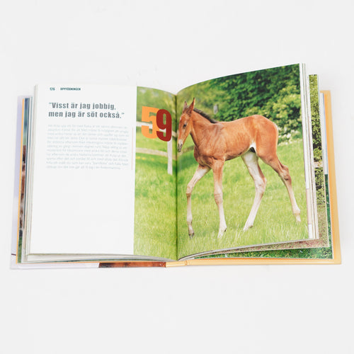 Bok "Hästens kroppsspråk" | Susan McBane
