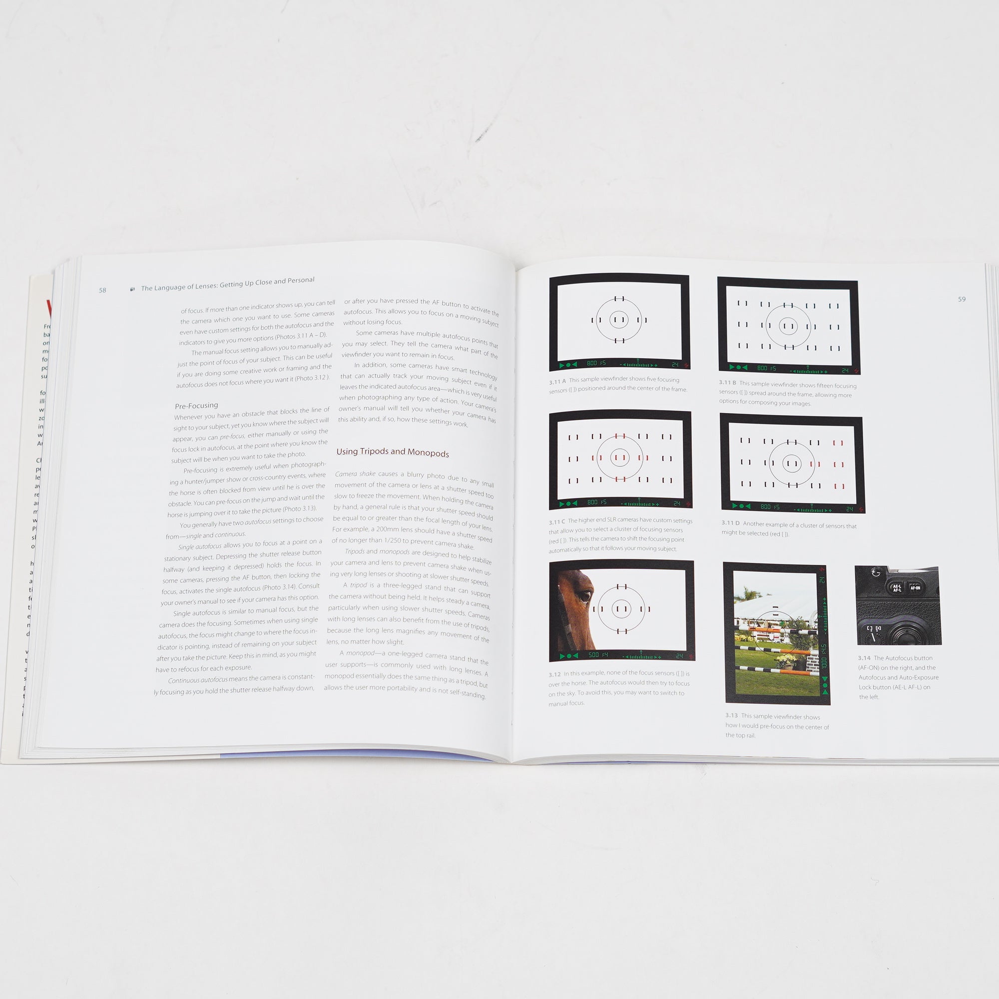 Bok "Photographing & Videoing Horses" | Charles Mann