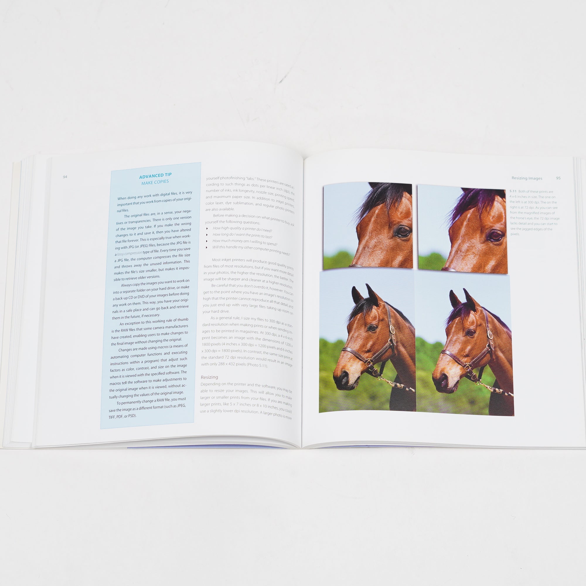 Bok "Photographing & Videoing Horses" | Charles Mann